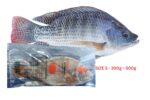 IP003-TILAPIA-SIZE-S-300g500g