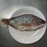 Thai Tilapia G/S Size S 300g–500g - Image 4