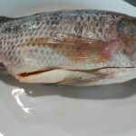 Thai Tilapia G/S Size S 300g–500g - Image 2