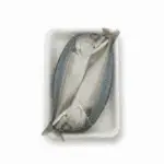 Frozen-Steam-Pacific-Bonito