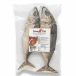 Frozen-Salted-Pacific-Bonito