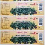 Frozen Cooked Cassod Flower